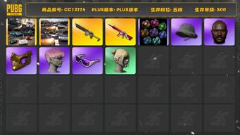 绝地求生（PUBG）[CC13774]CC13774/可排位/5段/500级/烟雾弹/911/卡宴/迈凯伦/阿斯顿马丁跑车/10级无信号M4/2级沙悟净mini/电磁背包/小战神/染血运动裤/粉战神/黄运动/圣诞套装/萨芬裤/竞猜裤/滑雪镜/滑雪帽/金面/黑鬼/粉头/丸子头/脏辫/婚纱头/86渔夫帽/白熊/斧头帮/青海摇