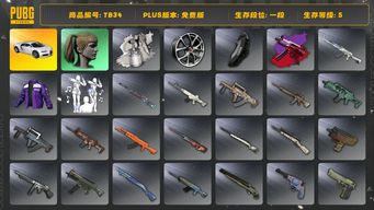 绝地求生（PUBG）[TB34]1段8级（免费版） 小马尾 寒蚀MP5K异色 布加迪普通跑车 aespa女团 布加迪威龙