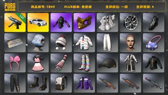 绝地求生（PUBG）[TB40]1段8级（免费版）发光手臂 金面 寒蚀MP5K 布加迪普通跑车 aespa女团 布加迪威龙