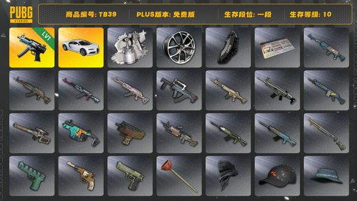 绝地求生（PUBG）[TB39]1段10级（免费版）寒蚀MP5K 布加迪普通跑车 aespa女团 布加迪威龙
