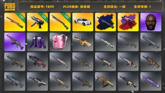 绝地求生（PUBG）[TB30]1段1级（免费版）夜曲M24 黑鬼 烈日灼烧S1897 寒蚀MP5K异色 寒蚀MP5K 夜曲M24异色 布加迪普通跑车 布加迪威龙