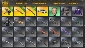 绝地求生（PUBG）[TB31]1段1级（免费版）夜曲M24 烈日灼烧S1897 寒蚀MP5K 布加迪普通跑车 布加迪威龙