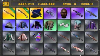 绝地求生（PUBG）[K4488]1段46级  信誉2  2级夜曲+异色  1级烈日  烟枪  黑鬼  小马尾  老鼠台夹克