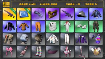 绝地求生（PUBG）[K4489]1段82级 信誉2 5级美杜莎  烟枪 2图纸 金面 黄东 白熊 