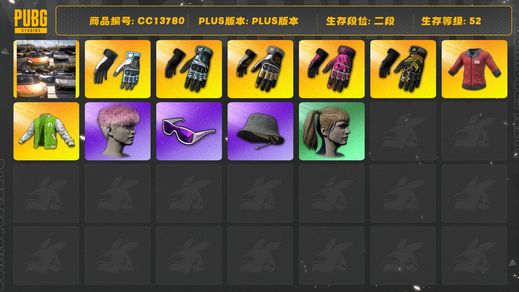 绝地求生（PUBG）[CC13780]CC13780/可排位/2段/52级/4张图纸/红东/显卡套/大魔王手套/金手指/迈阿密手套/金叶手套/小兔手套/迈凯伦/大魔王夹克/魔王面巾/小战神/竞猜裤/NH套装//布朗熊大礼包/滑雪镜/滑雪帽/粉头/双马尾/2渔夫帽/白熊