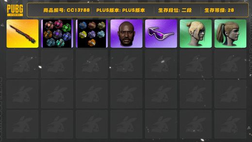 绝地求生（PUBG）[CC13788]CC13788/可排位/2段/28级/1张图纸/烟枪/烟雾弹/卡宴/8级孙悟空M24/卧底套装/发光手臂/滑雪镜/黑鬼/双马尾/丸子头/青海摇