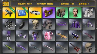 绝地求生（PUBG）[TB33]1段1级（免费版）小马尾 金面 丸子头 寒蚀MP5K 布加迪普通跑车 布加迪威龙