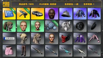 绝地求生（PUBG）[TB35]1段1级（免费版）小马尾 黑鬼 丸子头 寒蚀MP5K 保时捷911 aespa女团 保时捷
