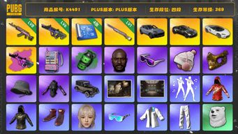 绝地求生（PUBG）[K4491]4段369级 信誉3 8级火麒麟 6级霓虹+异色 1级彩虹 烟弹 4图纸 保时捷卡宴 马丁跑车 迈凯伦 滑雪镜 金面 丹尼尔 