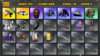 绝地求生（PUBG）[TB32]1段8级（免费版）小马尾 黑鬼 寒蚀MP5K 布加迪普通跑车 aespa女团 小叮当套装 布加迪威龙