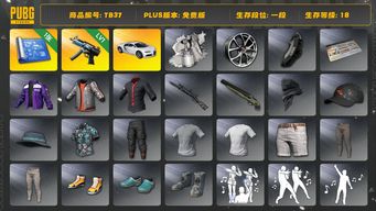 绝地求生（PUBG）[TB37]1段18级（免费版）寒蚀MP5K 布加迪普通跑车 aespa女团 布加迪威龙