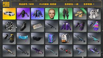 绝地求生（PUBG）[TB38]发光手臂 布加迪普通跑车 aespa女团 拉风龙套装 小叮当套装 布加迪威龙