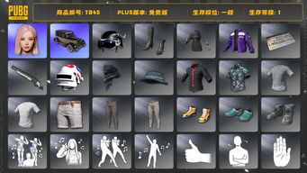 绝地求生（PUBG）[TB45]1段1级（免费版）aespa女团 改名卡