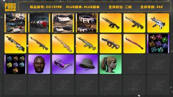 绝地求生（PUBG）[CC13798]CC13798/可排位/2段/343级/9张图纸/烟枪/烟雾弹/布加迪/兰博基尼SUV/阿斯顿马丁SUV/2杜卡迪/10猪八戒M4/5级恶魔ACE/3级无重力/2级烈日s1897/2级赛博MK12/2级德拉贡/2级午夜惊魂98k/1级弥诺陶洛斯AUG/1级水麒麟/1级时光sks/午夜惊魂98k异色/烈日s1897异色/星魂套装/滑雪镜/滑雪帽/黑鬼/双马尾/脏辫/渔夫帽/青海摇