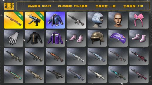 绝地求生（PUBG）[K4497]1段110级 信誉2 1级寒蚀 1级夜曲 