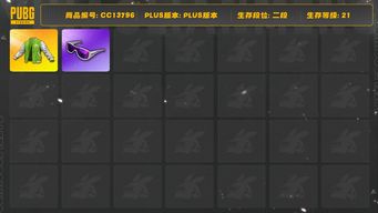 绝地求生（PUBG）[CC13796]CC13796/可排位/2段/21级/900GB/显卡套/滑雪镜/滑雪帽