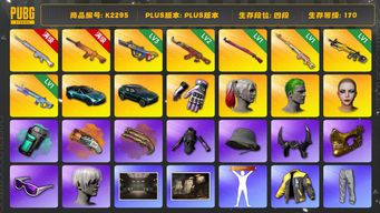 绝地求生（PUBG）[K2295]K2295 4段170级  信誉5  小黑盒 10级南瓜  10级玩偶  3级爆裂  2级ak  1级午夜  1级德拉贡  1级小兔  改名卡  烟枪  烟弹  双马丁  小丑男  小丑女  耳机渔夫帽  金面  滑雪镜  马丁渔夫帽   牛角  小马尾  丸子头  发光鼻子  白熊套  悲喜  拉风龙  萨芬裤  发光手臂  小战神