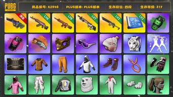 绝地求生（PUBG）[K2946]4段317级 信誉3 10级霓虹AUG 8级火麒麟 8级朱雀 7级赛博 2级沙悟净 2图纸 烟弹烟枪 马东锡 丸子头 金面 滑雪镜 白虎头 白虎包  