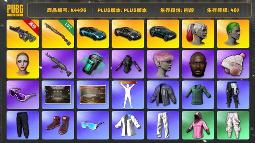 绝地求生（PUBG）[K4496]4段487级  信誉3  三马丁  10级霓虹  2级烈日  烟弹  小丑女  小丑男  粉头  黑鬼  滑雪镜  发光手  小黄鸭