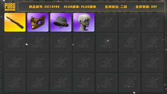 绝地求生（PUBG）[CC13795]CC13795/没开排位/2段/307级/10级孙悟空M24/白战神/萨芬裤/滑雪帽/金面/尼尔头/婚纱头/渔夫帽/白熊/青海摇