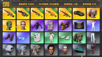 绝地求生（PUBG）[K4501]2段313级 信誉3 3级火麒麟 2级霓虹 2级南瓜 2级沙悟净 1级AK 丑男丑女 吴彦祖 金面 马丁跑车 