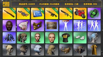 绝地求生（PUBG）[K4503]2段350级 信誉1 5级孙悟空 2级爆裂 1级猪八戒 1级沙悟净 杜卡迪 爱的主打歌