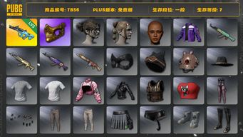 绝地求生（PUBG）[TB56]1段7级（免费版）金面 权志龙AUG