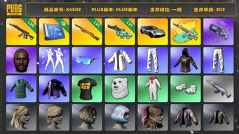 绝地求生（PUBG）[K4502]1段203级 信誉2 5级妖魔+异色 1级夜曲 1级权志龙 烟枪 图纸 保时捷911  黑鬼 星魂 