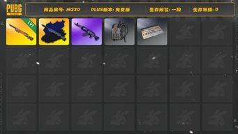 绝地求生（PUBG）夜曲M24 夜曲M24异色