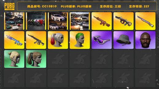 绝地求生（PUBG）[CC13810]CC13810/可排位/3段/227级/1张图纸/烟枪/烟雾弹/布加迪/迈凯伦/阿斯顿马丁跑车/阿斯顿马丁SUV/杜卡迪/小丑男/小丑女/8级朱雀M4/2级彩虹M24/1级弥诺陶洛斯AUG/1级妖魔ACE/1级魔咒MK12/电磁背包/小战神/pro套装/滑雪镜/黑鬼/双马尾/丸子头/脏辫/婚纱头/2渔夫帽/