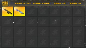 绝地求生（PUBG）[CC13817]CC13817/可排位/1段/126级/2张图纸/1级猪八戒M4/1级魔咒mk12/美杜莎在工坊/圣诞套装