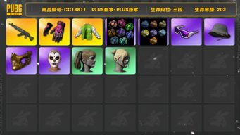 绝地求生（PUBG）[CC13811]CC13811/可排位/3段/203级/显卡套/迈阿密手套/烟枪/烟雾弹/4张图纸/卡宴/6级青龙/小战神/粉战神/萨芬裤/滑雪镜/滑雪帽/金面/卡崔娜/双马尾/丸子头/婚纱头/脏辫/86渔夫帽/白熊/白虎背包