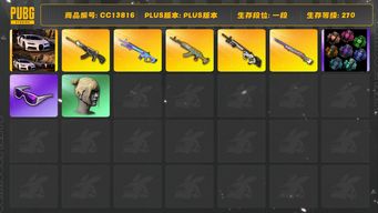 绝地求生（PUBG）[CC13816]CC13816/可排位/1段/270级/武器神龛/3张图纸/烟雾弹/布加迪/翰娜在工坊//3级彩虹M24/1级恶魔ACE/1级水麒麟/1级赛博MK12/1级魔咒MK12/赛博MK12异色/滑雪镜/丸子头