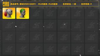 绝地求生（PUBG）[测试2025122201]