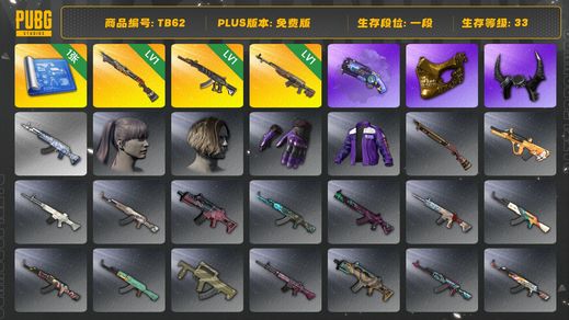 绝地求生（PUBG）[TB621段33级（免费版）]时光SKS 金面 牛角 烈日灼烧S1897 紫色魔法迷雾 - M79 妖魔ACE 烟枪