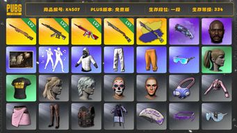 绝地求生（PUBG）[K4507] 1段334级 信誉3 2级夜曲 2级妖魔 2级无信号 1级s1897+异色 烟枪 小马尾 黑鬼 