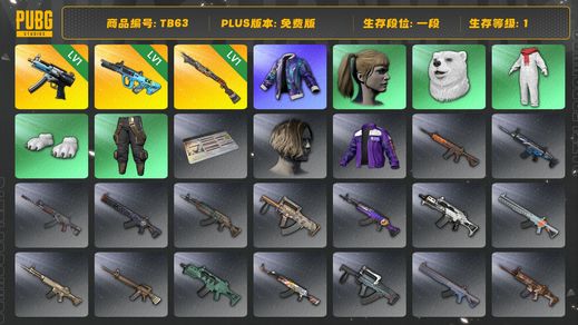 绝地求生（PUBG）[TB63]1段1级（免费版）小马尾 权志龙AUG 烈日灼烧S1897 寒蚀MP5K aespa女团 拉风龙套装 小叮当套装