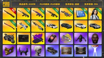 绝地求生（PUBG）[K4508]4段354级 信誉4 10级孙悟空 8级恶魔 4级美杜莎  4级猪八戒 3级爆裂 1级午夜+异色 1级无重力 1级赛博 烟弹烟枪 黑鬼 金面 牛角 尼尔大礼包 minji 三兰博 保时捷911