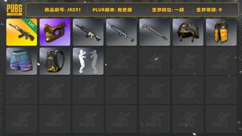 绝地求生（PUBG）金面 恶魔ACE