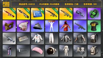 绝地求生（PUBG）[K4512]2段181级 信誉3 5级无信号 4级赛博 1级妖魔 1级水麒麟 烟弹烟枪 1图纸  金面 改名卡 