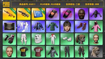 绝地求生（PUBG）[K4511]2段288级 信誉3 8级南瓜 4级牛头 1图纸 烟弹 黑鬼 女团HANNI