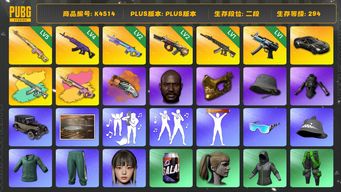 绝地求生（PUBG）[K4514]2段494级 信誉3 5级德拉贡 4级美杜莎 2级魔咒+异色 2级牛头 1级妖魔+异色 1级寒蚀 马丁跑车 黑鬼 金面 渔夫帽 改名卡 陈列室 