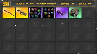 绝地求生（PUBG）[CC13830]CC13830/可排位/1段/337级/5张图纸/烟枪/绿色烟雾弹/粉色烟雾弹/4级弥诺陶洛斯AUG/2级午夜惊魂98k/2星魂套装/粉战神/滑雪镜/双马尾/