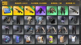 绝地求生（PUBG）[K4513 ]2段81级 信誉3 4级猪八戒 2级小兔 4图纸 拉风龙 发光手 