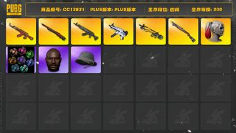 绝地求生（PUBG）[CC13831]CC13831/可排位/4段/300级/1张图纸/绿色烟雾弹/蓝色烟雾弹/卡宴/小丑女/5级青龙/3级孙悟空M24/2级圣诞ak/1级烈日s1897/1级无重力/1级小兔MK12/星魂套装/白战神/粉战神/圣诞套装/拉风龙套装/17套装/萨芬裤/黑鬼/渔夫帽/白熊