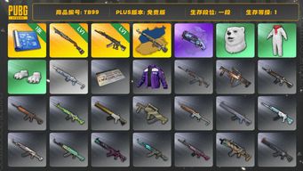 绝地求生（PUBG）[TB99]1段1级（免费版）烈日灼烧S1897 时光SKS异色 紫色魔法迷雾 - M79 妖魔ACE aespa女团 烟枪