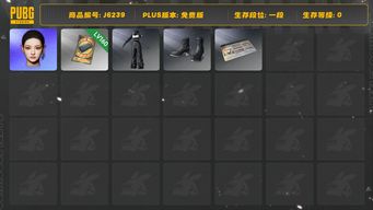 绝地求生（PUBG）女团宁宁套（成品）+保时捷男套装（成品）+改名卡+多利安背包套+160票卷