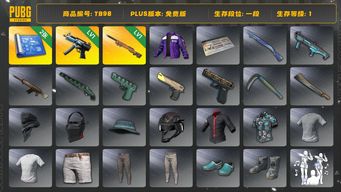 绝地求生（PUBG）[TB98]1段1级（免费版）夜曲M24 寒蚀MP5K aespa女团