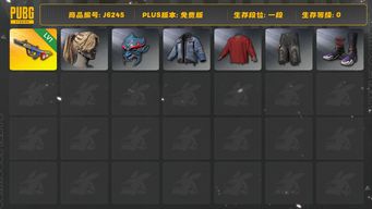 绝地求生（PUBG）弹珠AUG，沙悟净套装，多车皮