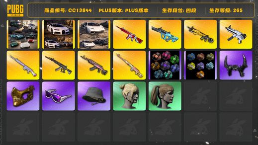 绝地求生（PUBG）[CC13844]CC13844/可排位/4段/265级/1张图纸/4烟枪/绿色烟雾弹/粉色烟雾弹/2布加迪/兰博基尼跑车/2兰博基尼SUV/阿斯顿马丁跑车/10级无信号M4/10级妖魔ACE/10级小兔MK12/10级德拉贡/6级无重力/3级火麒麟/1级权志龙AUG/1级玩偶大炮/无信号M4异色/妖魔ACE异色/小兔MK12异色/4套3代女团/权志龙套装/2套星魂套装/绿东/黄东/卧底套装/白战